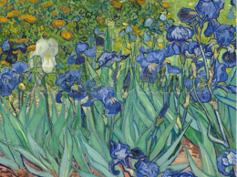 PANEL WELUR TAPICERSKI IRYSY Van Gogha
