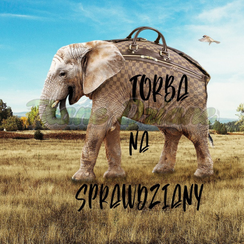 PANEL POLIESTER WODOODPORNY NAUCZYCIEL TORBA NA SPRAWDZIANY PANEL POLIESTER WODOODPORNY NAUCZYCIEL TORBA NA SPRAWDZIANY