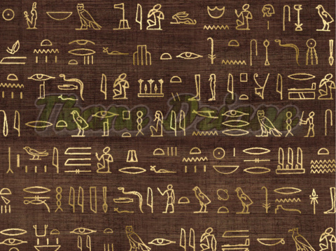 WELUR TAPICERSKI EGIPT - PAPIRUS