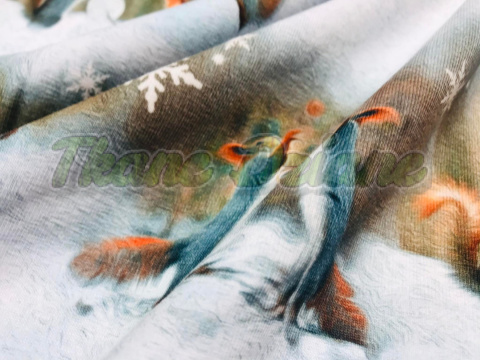JERSEY BAWEŁNIANY DRUK CYFROWY WIEWIÓRKI PREMIUM JERSEY BAWEŁNIANY DRUK CYFROWY WIEWIÓRKI PREMIUM