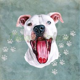 PANEL POLIESTER WODOODPORNY AMSTAFF