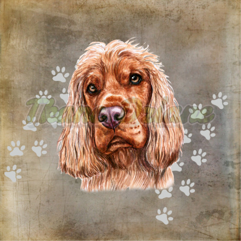 PANEL POLIESTER WODOODPORNY COCKER SPANIEL PANEL POLIESTER WODOODPORNY COCKER SPANIEL