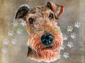 PANEL WELUR TAPICERSKI AIREDALE TERRIER