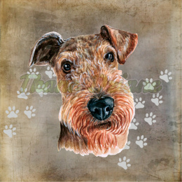 PANEL WELUR TAPICERSKI AIREDALE TERRIER
