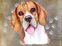 PANEL WELUR TAPICERSKI BEAGLE