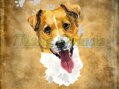 PANEL POLIESTER WODOODPORNY JACK RUSSELL TERRIER PORTRET BEŻ