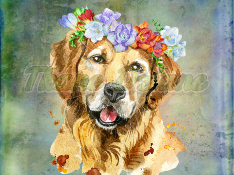 PANEL POLIESTER WODOODPORNY GOLDEN RETRIVER W WIANKU