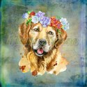 PANEL POLIESTER WODOODPORNY GOLDEN RETRIVER W WIANKU