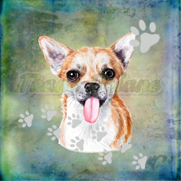 PANEL POLIESTER WODOODPORNY CHIHUAHUA PORTRET BLUE