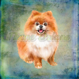 PANEL POLIESTER WODOODPORNY POMERANIAN RUDY BLUE