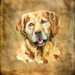 PANEL POLIESTER WODOODPORNY GOLDEN RETRIVER PORTRET