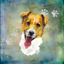PANEL POLIESTER WODOODPORNY JACK RUSSELL TERRIER PORTRET BLUE