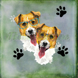 PANEL POLIESTER WODOODPORNY DWA JACK RUSSELL TERRIERY