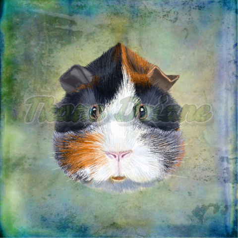 PANEL POLIESTER WODOODPORNY ŚWINKA MORSKA PORTRET BLUE PANEL POLIESTER WODOODPORNY ŚWINKA MORSKA PORTRET BLUE