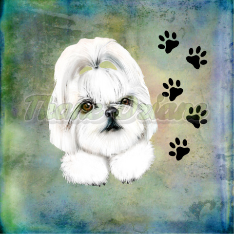 PANEL POLIESTER WODOODPORNY SHIH TZU PORTRET