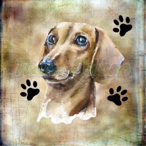 PANEL POLIESTER WODOODPORNY JAMNIK PORTRET 2 PANEL POLIESTER WODOODPORNY JAMNIK PORTRET 2