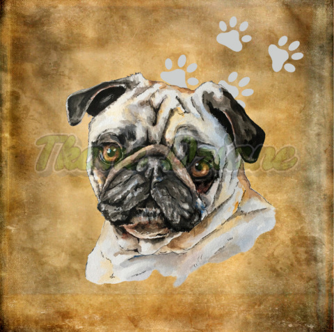 PANEL POLIESTER WODOODPORNY MOPS PORTRET TŁO BEŻ 2 PANEL POLIESTER WODOODPORNY MOPS PORTRET TŁO BEŻ 2