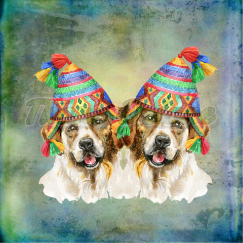 PANEL POLIESTER WODOODPORNY DWA GOLDENY RETRIVERY W CZAPKACH PANEL POLIESTER WODOODPORNY DWA GOLDENY RETRIVERY W CZAPKACH