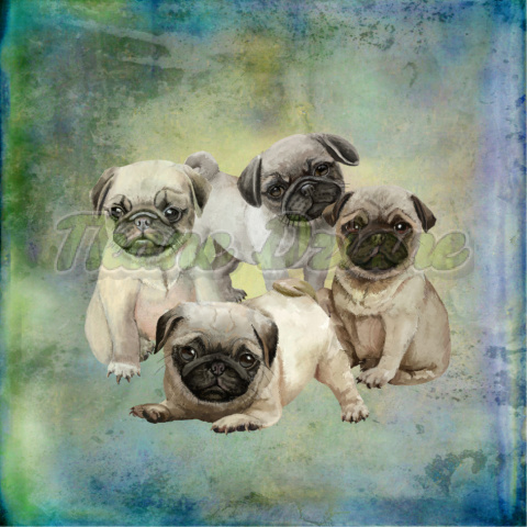 PANEL POLIESTER WODOODPORNY MOPS SZCZENIĘTA TŁO PASTEL MULTICOLOR PANEL POLIESTER WODOODPORNY MOPS SZCZENIĘTA TŁO PASTEL MULTICOLOR