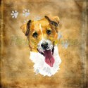 PANEL WELUR TAPICERSKI JACK RUSSELL TERRIER PORTRET BEŻ