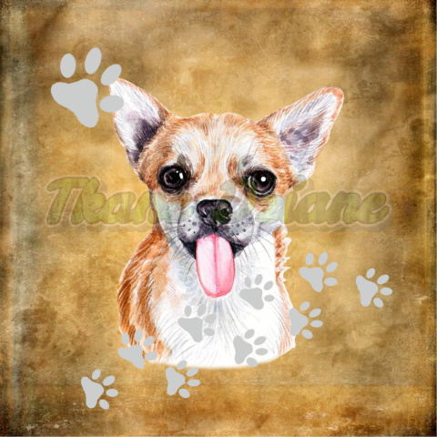 PANEL WELUR TAPICERSKI CHIHUAHUA PORTRET BEŻ PANEL WELUR TAPICERSKI CHIHUAHUA PORTRET BEŻ