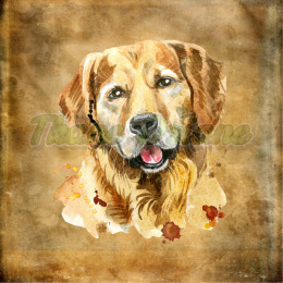 PANEL WELUR TAPICERSKI GOLDEN RETRIVER PORTRET