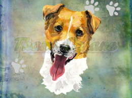 PANEL WELUR TAPICERSKI JACK RUSSELL TERRIER PORTRET BLUE