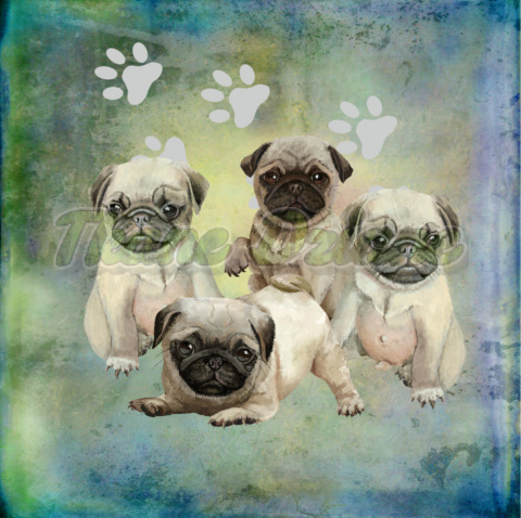 PANEL WELUR TAPICERSKI MOPS SZCZENIĘTA I ŁAPKI TŁO PASTEL MULTICOLOR PANEL WELUR TAPICERSKI MOPS SZCZENIĘTA I ŁAPKI TŁO PASTEL MULTICOLOR