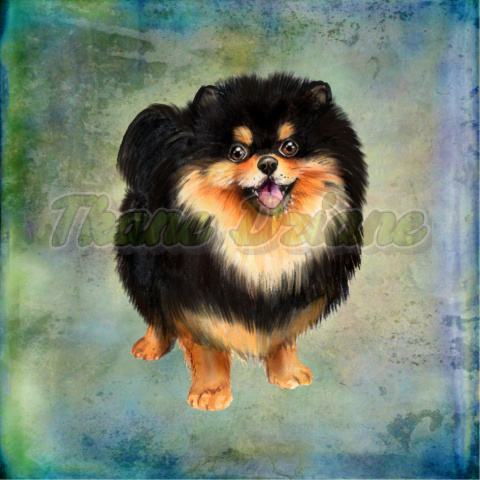 PANEL WELUR TAPICERSKI POMERANIAN CZARNO-BRĄZOWY BLUE PANEL WELUR TAPICERSKI POMERANIAN CZARNO-BRĄZOWY BLUE