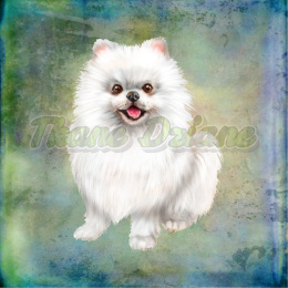 PANEL WELUR TAPICERSKI POMERANIAN BIAŁY BLUE