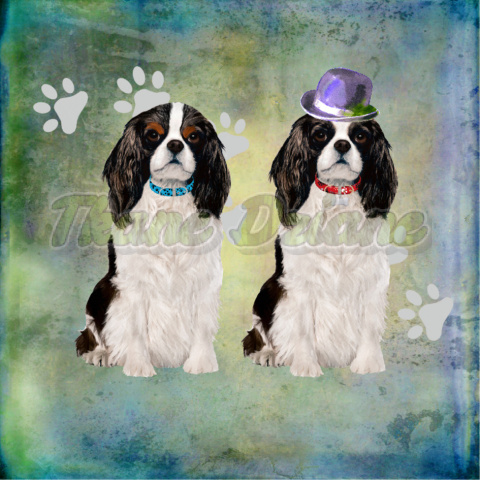 PANEL WELUR TAPICERSKI DWA CAVALIERY BLUE PANEL WELUR TAPICERSKI DWA CAVALIERY BLUE
