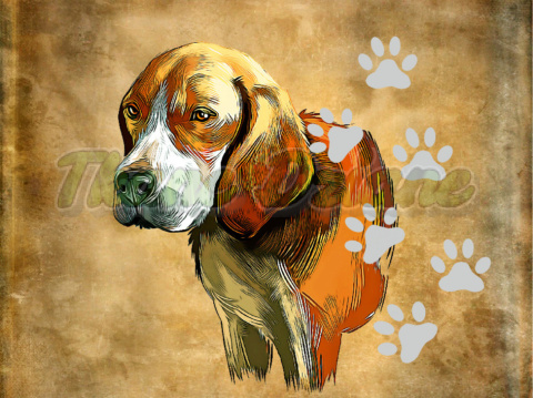 PANEL POLIESTER WODOODPORNY BEAGLE PORTRET TŁO BEŻ 2