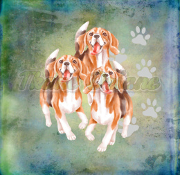 PANEL POLIESTER WODOODPORNY TRZ BEAGLE TŁO PASTEL MULTICOLOR