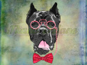 PANEL WELUR TAPICERSKI CANE CORSO W OKULARACH TŁO BLUE PANEL WELUR TAPICERSKI CANE CORSO W OKULARACH TŁO BLUE