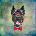 PANEL WELUR TAPICERSKI CANE CORSO W OKULARACH TŁO BLUE PANEL WELUR TAPICERSKI CANE CORSO W OKULARACH TŁO BLUE