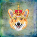 PANEL POLIESTER WODOODPORNY CORGI W KORONIE BLUE