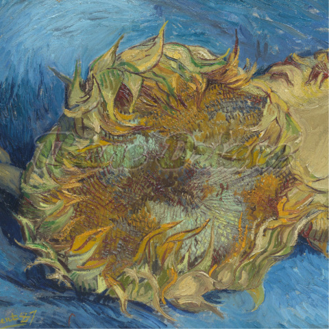 PANEL POLIESTER WODOODPORNY VAN GOGH- SŁONECZNIKI 2, 50x50 PANEL POLIESTER WODOODPORNY VAN GOGH- SŁONECZNIKI 2, 50x50