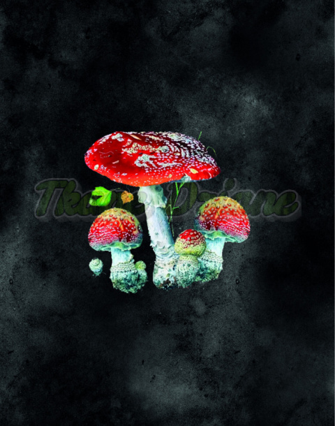PANEL DZIANINA AMBER- AMANITA MUSCARIA NA GRAFICIE PANEL DZIANINA AMBER- AMANITA MUSCARIA NA GRAFICIE
