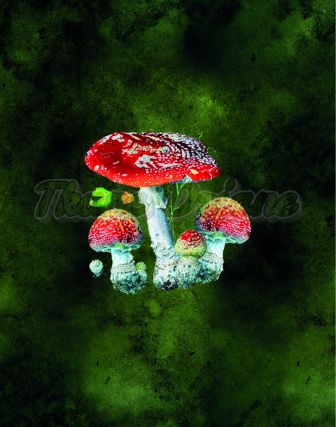PANEL DZIANINA AMBER- AMANITA MUSCARIA NA ZIELONYM PANEL DZIANINA AMBER- AMANITA MUSCARIA NA ZIELONYM