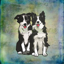 PANEL POLIESTER WODOODPORNY DWA BORDER COLLIE TŁO PASTEL MULTICOLOR