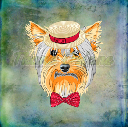 PANEL POLIESTER WODOODPORNY YORKSHIRE TERRIER TŁO PASTEL MULTICOLOR