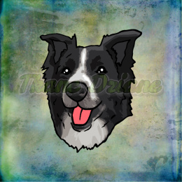 PANEL POLIESTER WODOODPORNY BORDER COLLIE PORTRET TŁO PASTEL MULTICOLOR