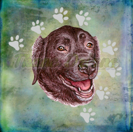 PANEL POLIESTER WODOODPORNY LABRADOR CZEKOLADOWY TŁO PASTEL MULTIKOLOR