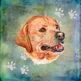 PANEL POLIESTER WODOODPORNY LABRADOR 1 TŁO PASTEL MULTIKOLOR