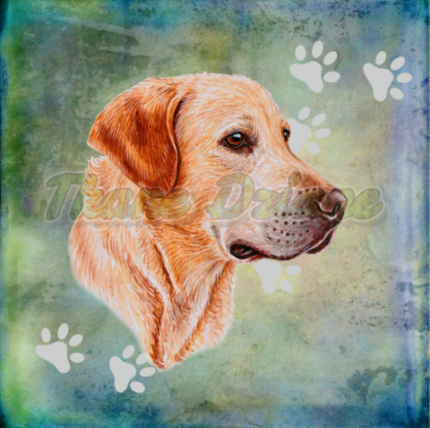 PANEL DRUKOWANY LABRADOR PORTRET TŁO PASTEL MULTIKOLOR PANEL DRUKOWANY LABRADOR PORTRET TŁO PASTEL MULTIKOLOR