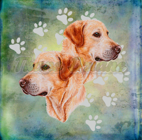 PANEL POLIESTER WODOODPORNY DWA LABRADORY TŁO PASTEL MULTIKOLOR PANEL POLIESTER WODOODPORNY DWA LABRADORY TŁO PASTEL MULTIKOLOR