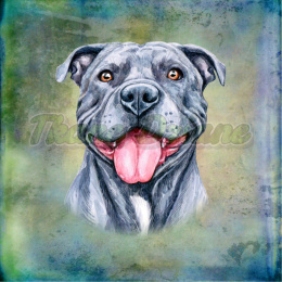 PANEL POLIESTER WODOODPORNY PITBULL BLUE TŁO MULTIKOLOR