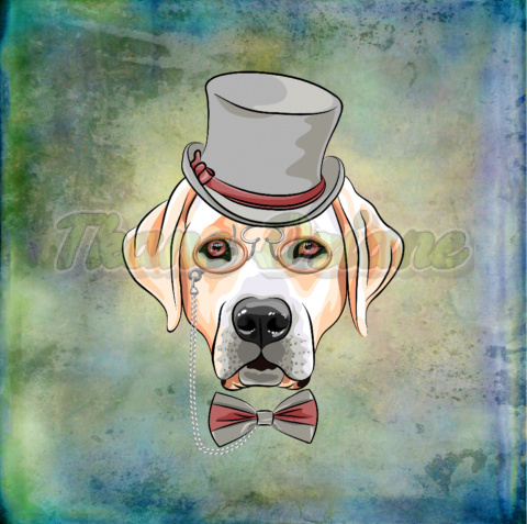PANEL POLIESTER WODOODPORNY LABRADOR RETRIEVER W MELONIKU TŁO PASTEL MULTICOLOR PANEL POLIESTER WODOODPORNY LABRADOR RETRIEVER W MELONIKU TŁO PASTEL MULTICOLOR