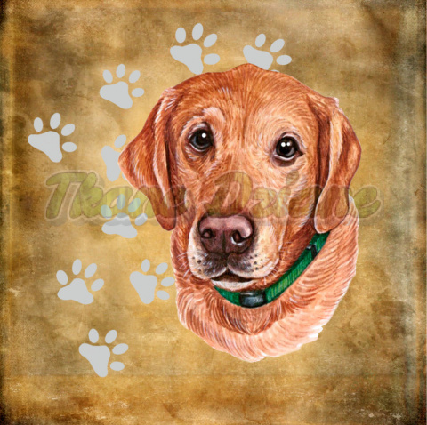 PANEL WELUR TAPICERSKI LABRADOR PORTRET TŁO BEŻ 2 PANEL WELUR TAPICERSKI LABRADOR PORTRET TŁO BEŻ 2