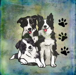 PANEL WELUR TAPICERSKI BORDER COLLIE RODZINA TŁO PASTEL MULTICOLOR